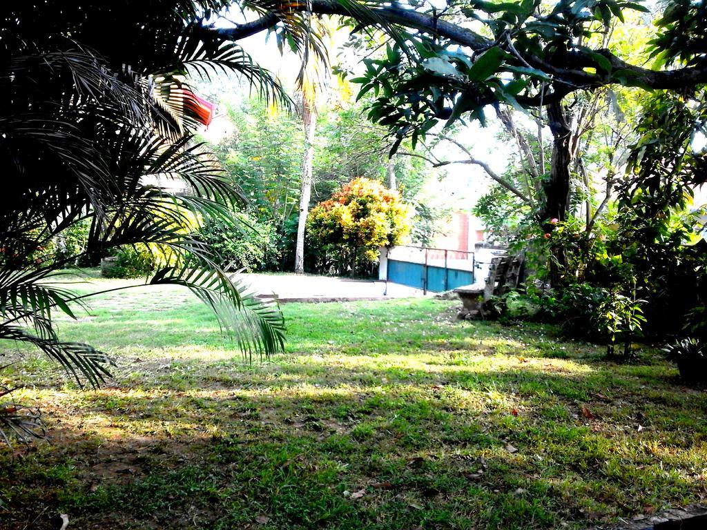 Cozy Cottage-Tangalle Exteriör bild